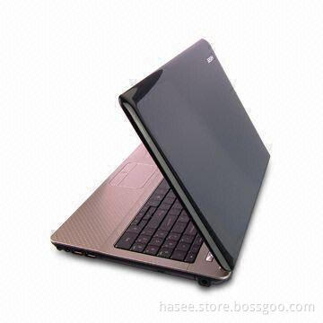 Laptop with 2GB DDR3 Memory and 320GB SATA SATA